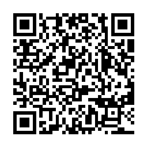 竟是在转眼间变成了一头头巨大无比的灰色狰狞巨蛇二维码生成