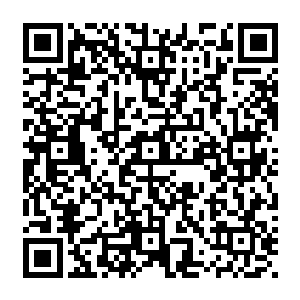 竟然……是炼气期第十二层才……一岁多大而且还是山灵体怪不得有那么强悍的抗击打能力二维码生成