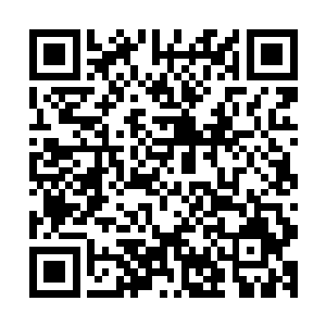 竟然以硬碰硬把他这个苦练叶家猛虎拳数十年的长辈给轰趴下二维码生成