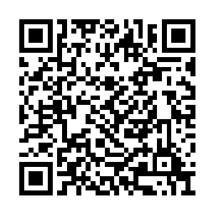 竟然在和他们年龄差不多的阶段已经突破到圣域二维码生成