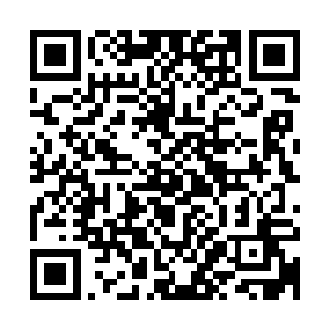 竟然撑得连锁在他小臂上的那两根钢管都发出一阵阵令人牙酸的二维码生成