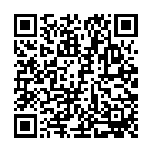 竟然比任何医药都更加准确的修复身体器官……二维码生成