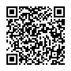 竟然用无极尊主和尊主大人的出门时间来做赌注二维码生成