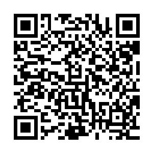竟然能在这个不上台面的杂乱宴会中看到真正的活着的生命之子二维码生成