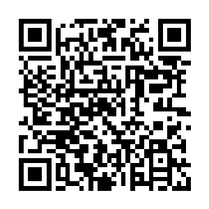 竟然能够说出十数中古方上没有记录完全的药材二维码生成