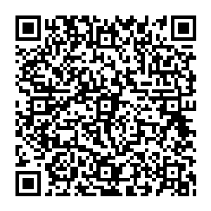 竟然还想着那一室的金银珠宝和锦衣玉食……想必她们都不知道在那个如同金丝笼一样的房子外面二维码生成