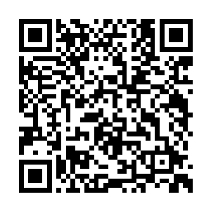 竟然还给家里面的家长和长辈表演了一些小节目二维码生成