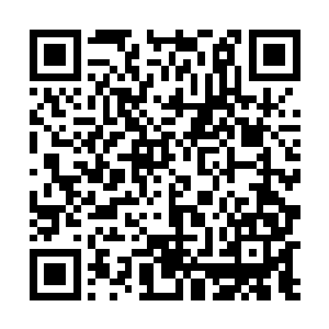 竟然都已经悟出了五行至尊伪界可惜不是我罗刹界之修二维码生成