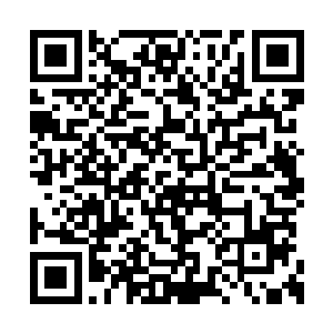 竟然霸占了省电视台最漂亮的新闻主播澹台明月二维码生成