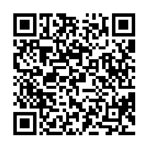 竟用了不到一个时辰时间便抵达了海界线的翠竹岛附近二维码生成
