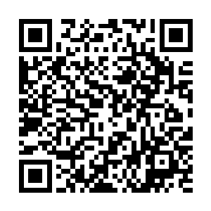 童话皇后杨洁在文章的最后信誓旦旦地肯定苏文是童话大师二维码生成