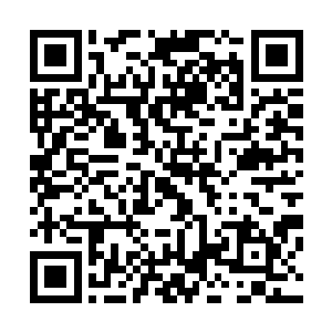 端木森对于我昨天没有正常过来骨器店事情并没有追问什么二维码生成