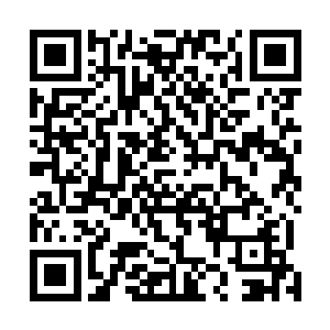 竹下放了几个样式怪异却带着美感的石头做为歇脚的凳子二维码生成