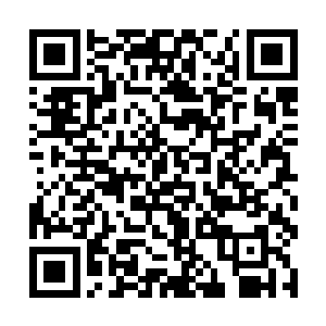 笑嘻嘻的把抢过来的半张纸在疯子眼前一点一点撕碎二维码生成