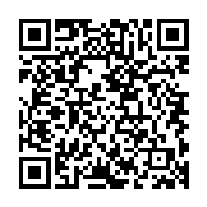 笑林胸口中刚刚消散的郁闷之气被苏轼的一番话又给勾引起来二维码生成