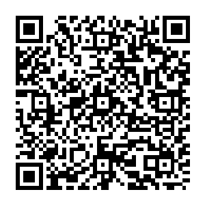 笑话 我怎么会怕 我风清扬是谁 堂堂尸王血脉的拥有者……尸王血脉……尸王血脉 二维码生成