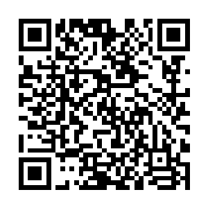 第一个试镜者潜意识连基础的老大气势都没有演出来二维码生成