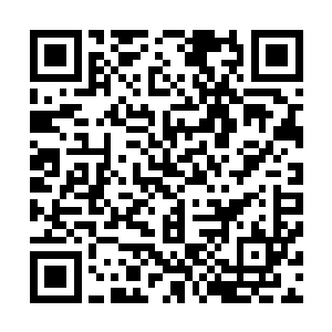 第一个询问自己昨晚的事情的人竟然不是江迟聿也不是容冶二维码生成
