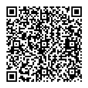 第一个进入大荒洞天的聚贤四怪有可能获得了大荒门曾经收藏在这一层洞天之中的那些秘籍经典二维码生成