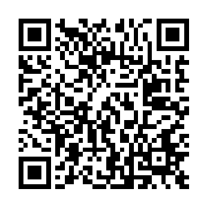 第一次来北界的人一般都对被这般冰雪样的世界生出新奇二维码生成