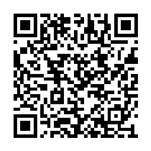 第一次见面的两人俨然都将对方当成了生死仇敌二维码生成