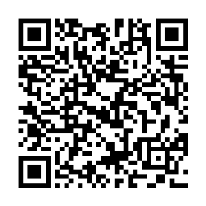 第一阶段的王级试炼考核以多次考核的总成绩来排名次二维码生成