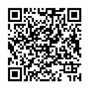第三点他说过――不日他会组建一只军队对抗冥族二维码生成