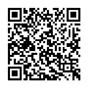 第二个任务就是取龙族族长的脑核……这个任务二维码生成