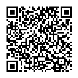 第二代的元能灵气酵母菌的发酵完成时间比第一代的元能灵气酵母再次缩短5%二维码生成