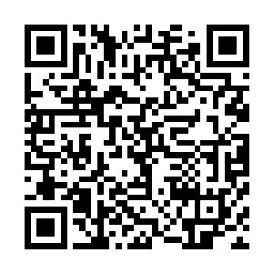 第二天早上我到派出所把咱们签的协议等资料交给内勤存档二维码生成