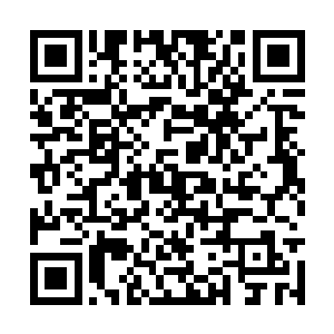 第二阶的大牛汤姆斯将会正式提出基因组学的概念二维码生成