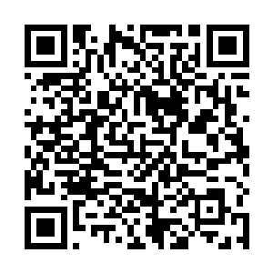 第五十一届世界传统医学大会就在这座奇特的城市召开二维码生成