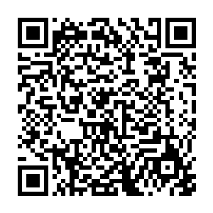 第五绝世看着眼前这个第五轻沙私底下默默准备了许多年的赤壁传送阵二维码生成