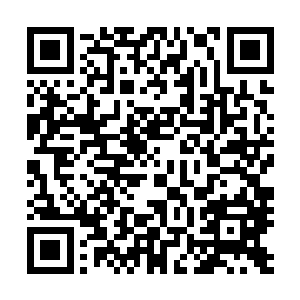 第十二大街一号和第十三大街三号这十一位屋主的指令代码二维码生成