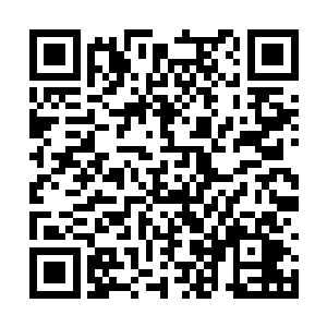 等于已经完成了第一层的一小部分通灵宝决的修炼二维码生成