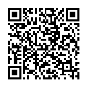 等于现在我的本尊已经开始第九脉络的修炼延伸了二维码生成