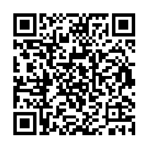 等于说现在你……不得不和林烽睡在同一间房当中咯二维码生成