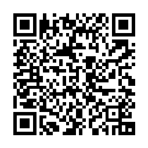 等会见完你的天辰爷爷我们就去看看那所谓的十五六的抱丹武者二维码生成