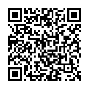 等到南玖到达正堂时才发现此时已经是宾客满堂二维码生成