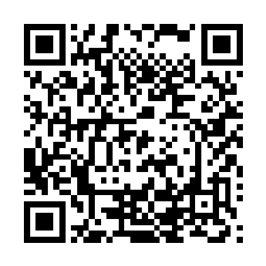 等到墨景黎搞清楚了事实到时候只怕谁也挡不住他的大军了二维码生成