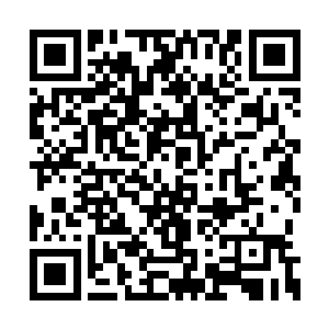 等她所有压制的痛感在无意识中全部过渡完后再二维码生成