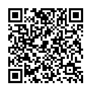 等妮娜做完全新检查并在宠物中心洗完澡吹完毛回家的时候二维码生成