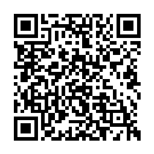 等完成殿主交代的任务之后再去寻找你的仇人吧二维码生成