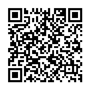 等屏幕因为待机时间过长而完全熄灭时才从那强烈的悸动中回神二维码生成