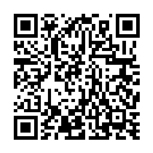 等待你们的……只会有暗无天日的工作和基本生存保障二维码生成