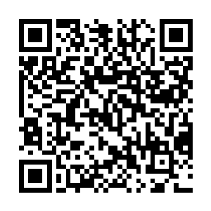 等渡过这段时间之后大家就算关注你也不会这么疯狂的二维码生成