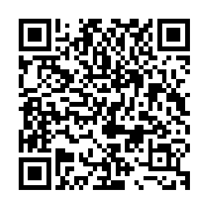 等着俩个小娃儿睡着的时候小太妹就准备脚底儿抹油――开溜了二维码生成