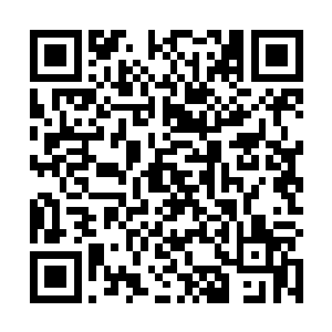 等等……把刚才找回来的钱给我……你和调音师的小费二维码生成