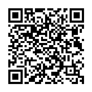 简一埃皮恩成为了奥斯卡历史上第一位获得最佳导演提名的女性二维码生成