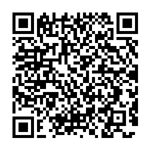 简单果断的的拒绝把天禅子和九天玄女接下来的话都硬生生地逼了回去二维码生成